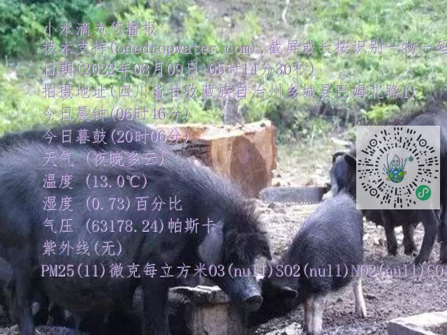 0.mp4