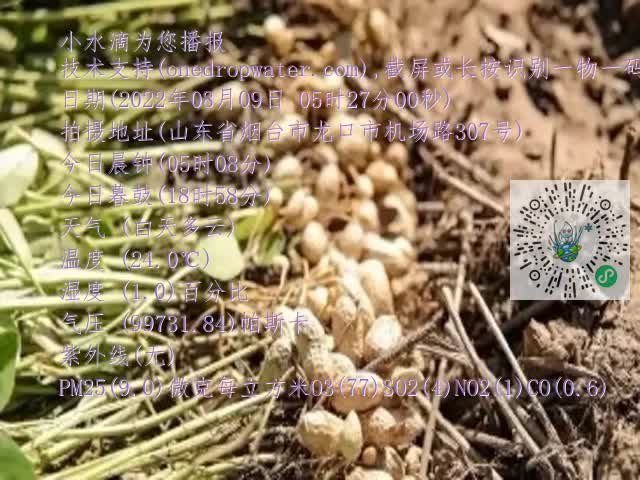 0.mp4