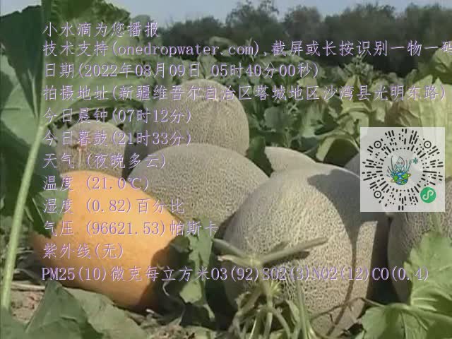 0.mp4