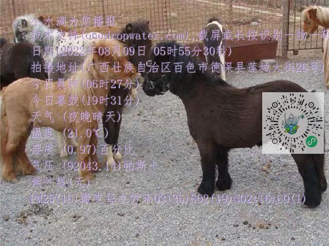 0.mp4