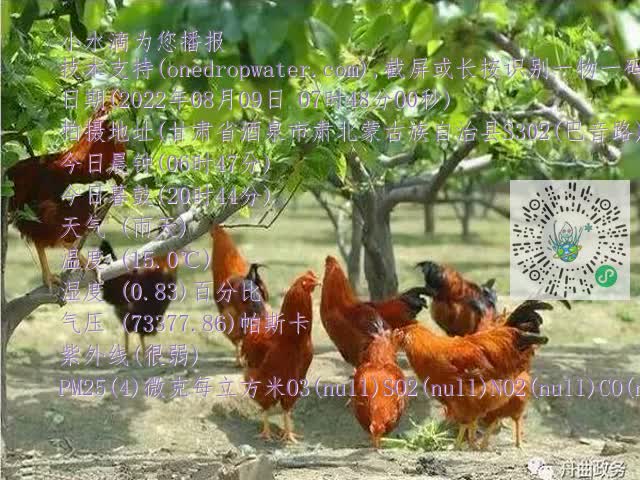 0.mp4