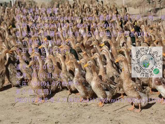 0.mp4