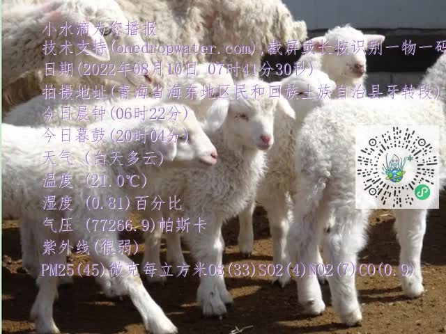 0.mp4