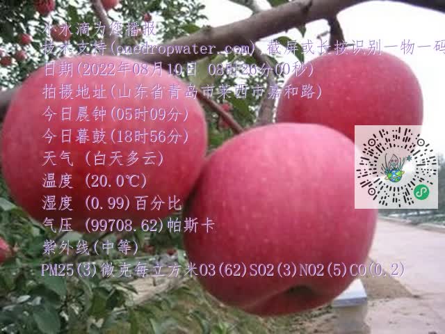0.mp4