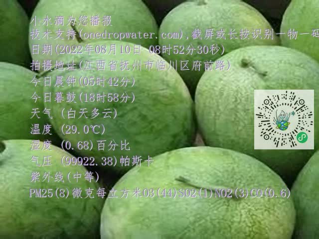 0.mp4