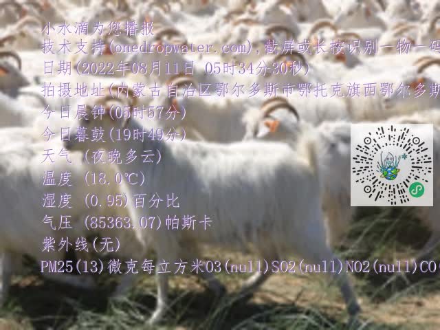 0.mp4