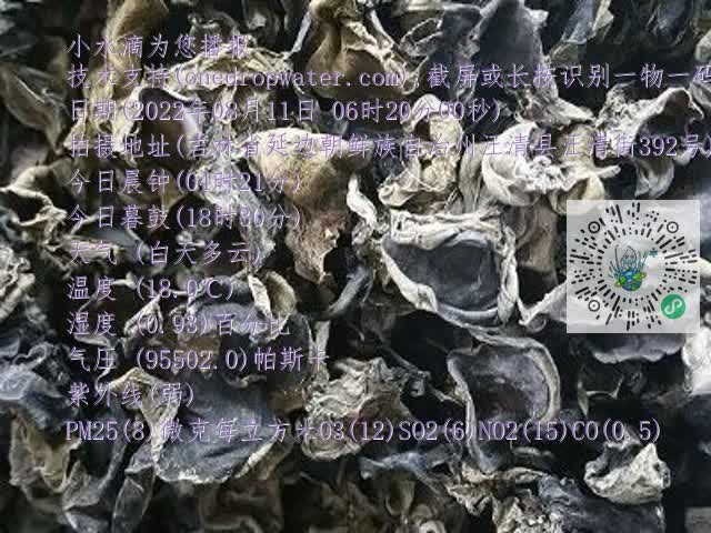 0.mp4