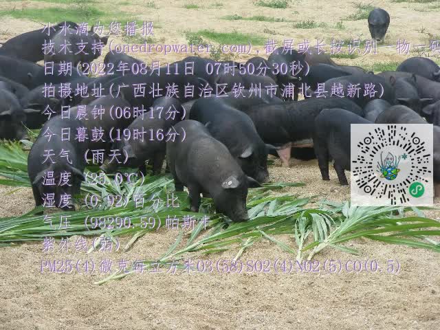 0.mp4