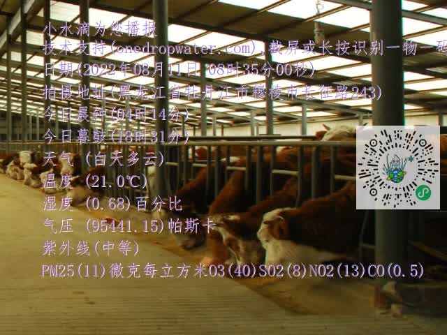 0.mp4