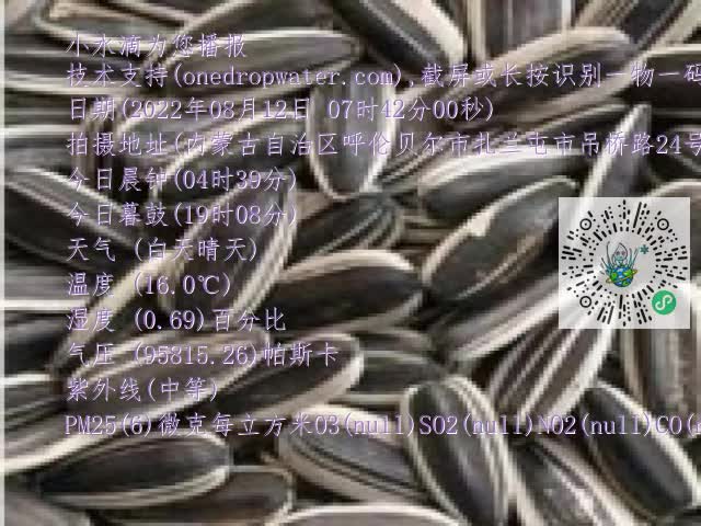 0.mp4