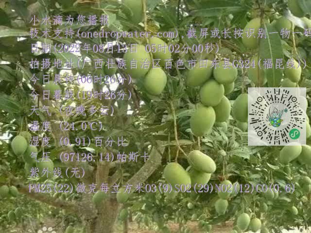 8ef11e115cff7ad3080e45ead4504c5b.mp4