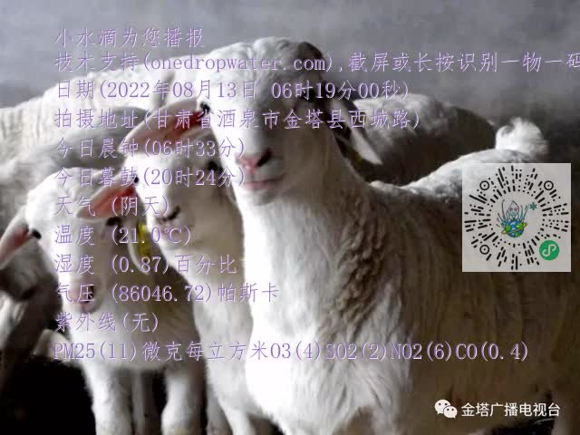 0.mp4