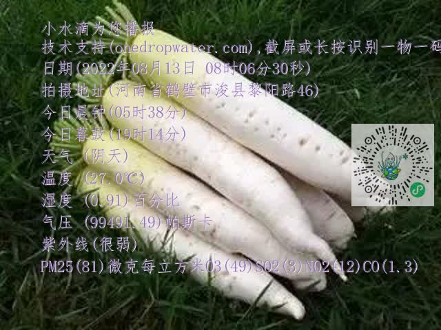 0.mp4