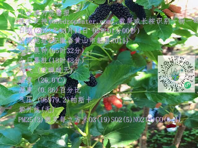 18053b670e2cd33b08f50659850fbd57.mp4