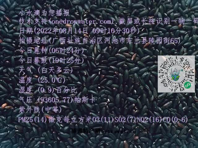 0.mp4
