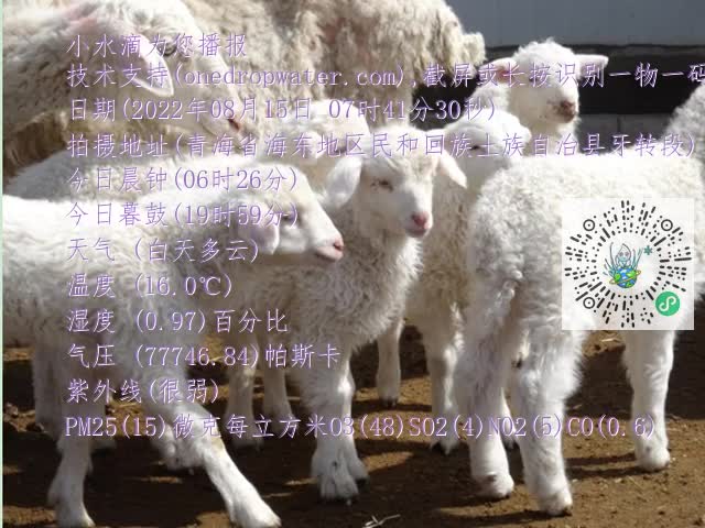 0.mp4