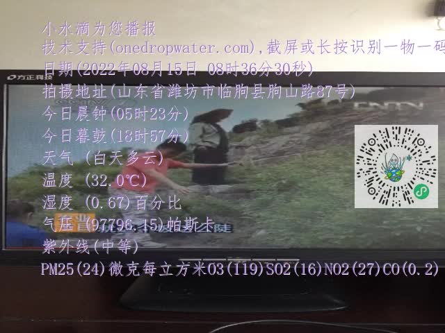 0.mp4