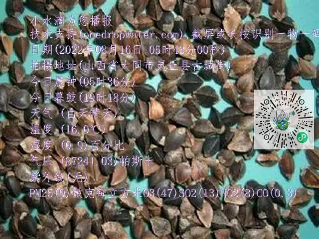 0.mp4