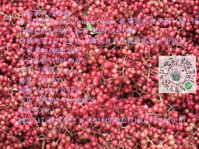 0.mp4