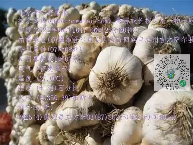 0.mp4