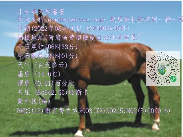 0.mp4