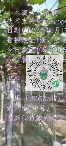 Fm0ydHMo4XUvnG5LmRCT4kFsI3A3mp4