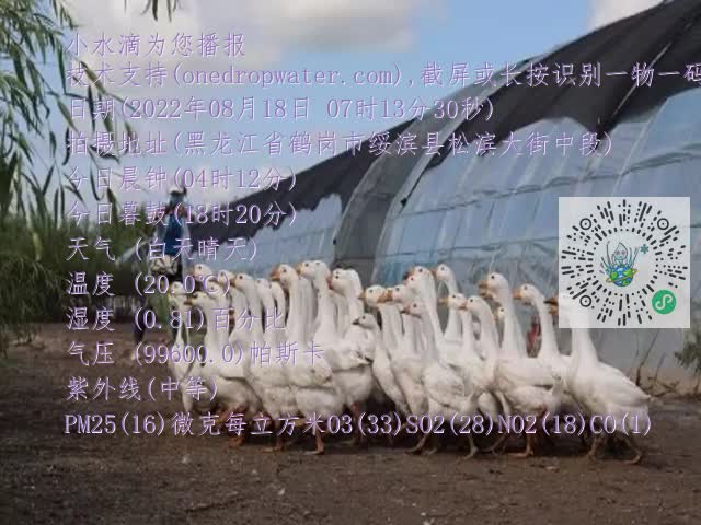 0.mp4