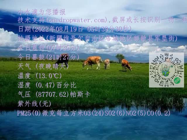 0.mp4