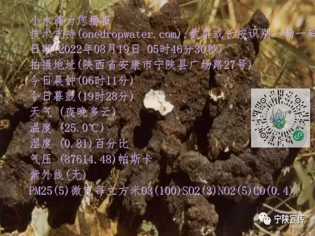 0.mp4
