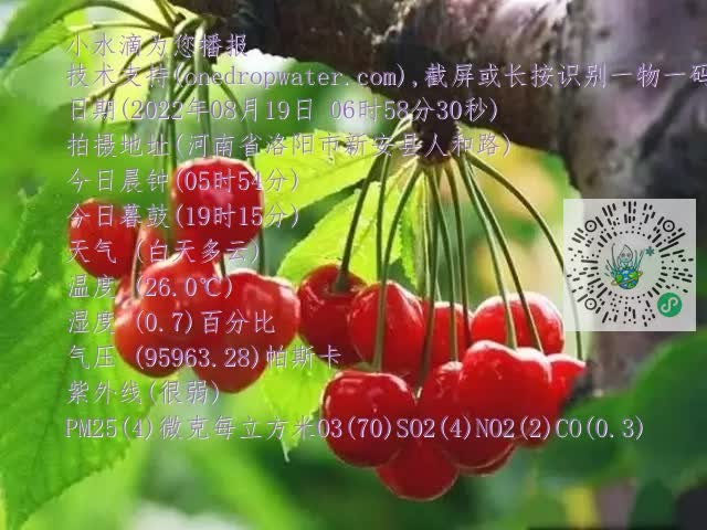 0.mp4