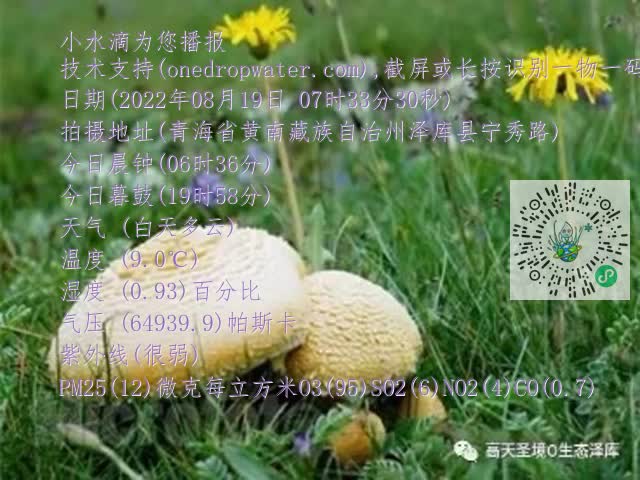 0.mp4