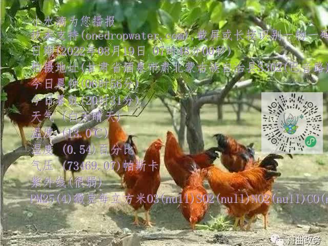 0.mp4