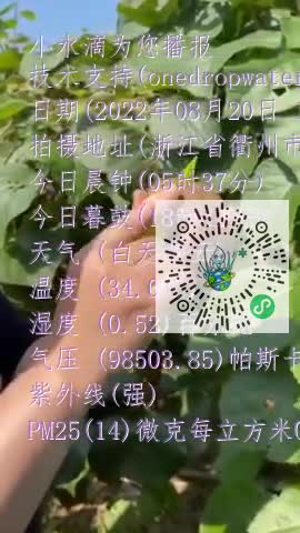 Fvqp5RjWS5FRUmI46OqrLrjuzyxTmp4