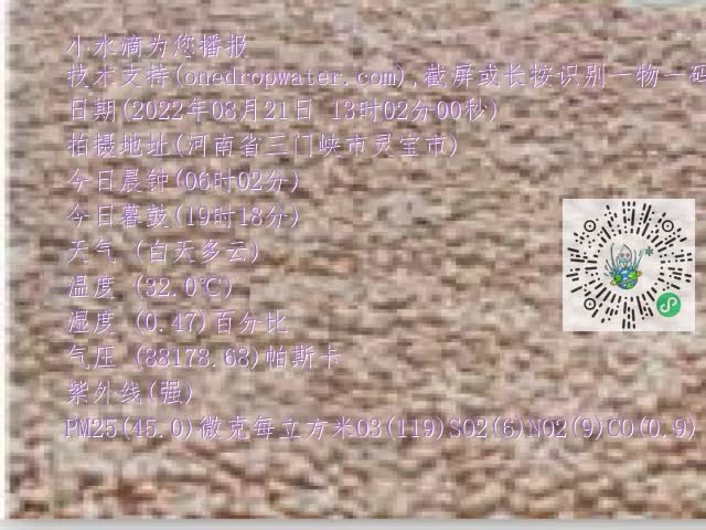 0.mp4