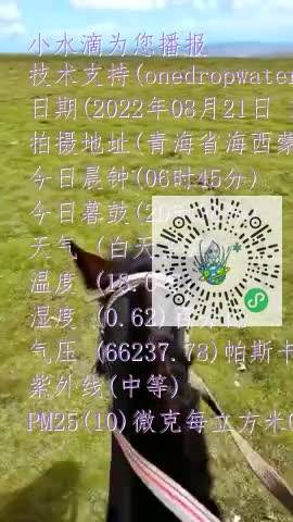 Fk36kmB7a7Qude8gg8D8ZhiXY612mp4