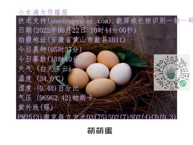 132b7dc3e65df8fe6cae9da93c0655d9.mp4