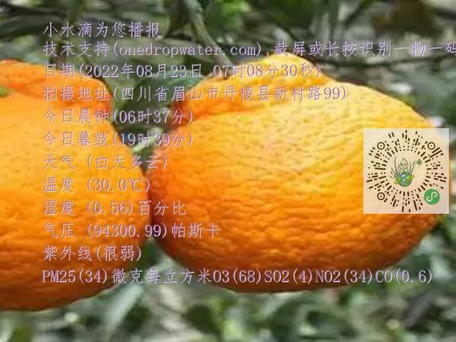 fcd7ad02a655962e6ab6a61dd021584d.mp4