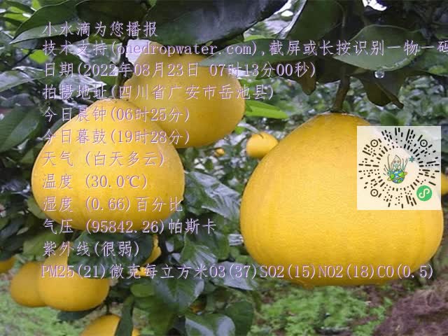 9f39d7d4e40f5547f9f476f959bff4f0.mp4