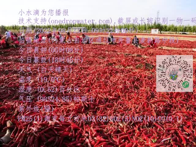 0.mp4