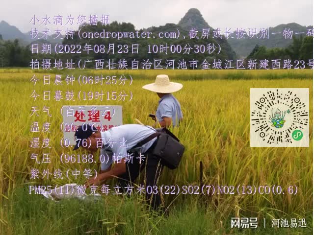 0.mp4