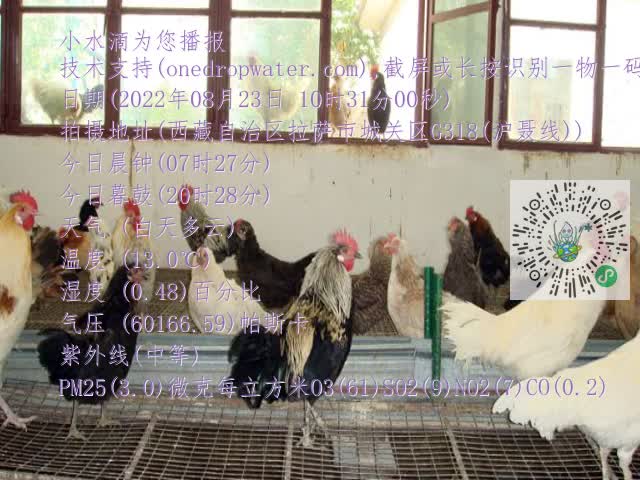 0.mp4