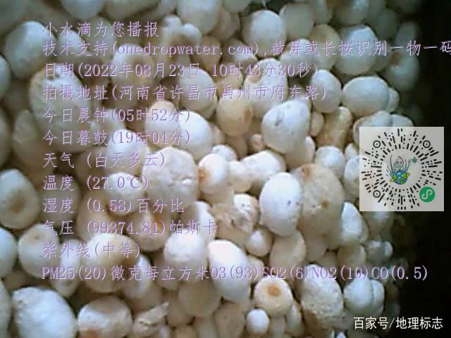 0.mp4