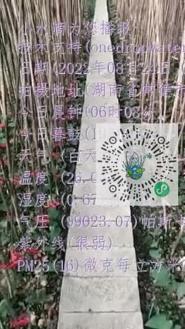Fj-I6qY9Y2QLVAzs3t01dO3SvyYrmp4