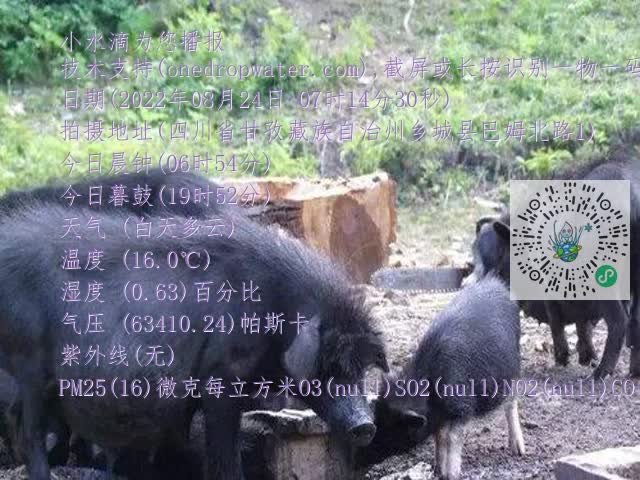 0.mp4