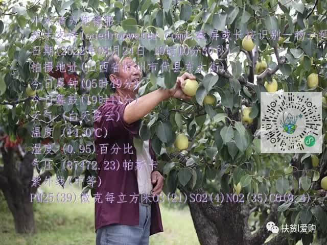 0.mp4