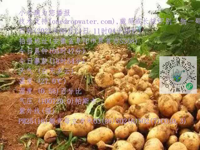 0.mp4
