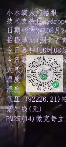 FnKk2flX_hxv0dtPZMF2kW6xFaCUmp4