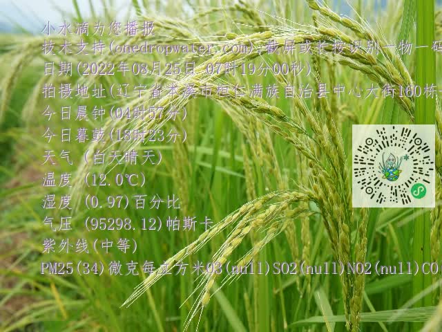 0.mp4