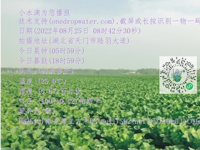0.mp4