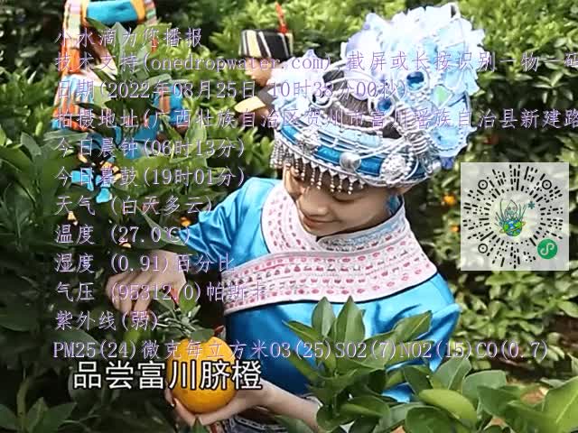 dd8090a4e4d4c7718ed15ab6692d8051.mp4